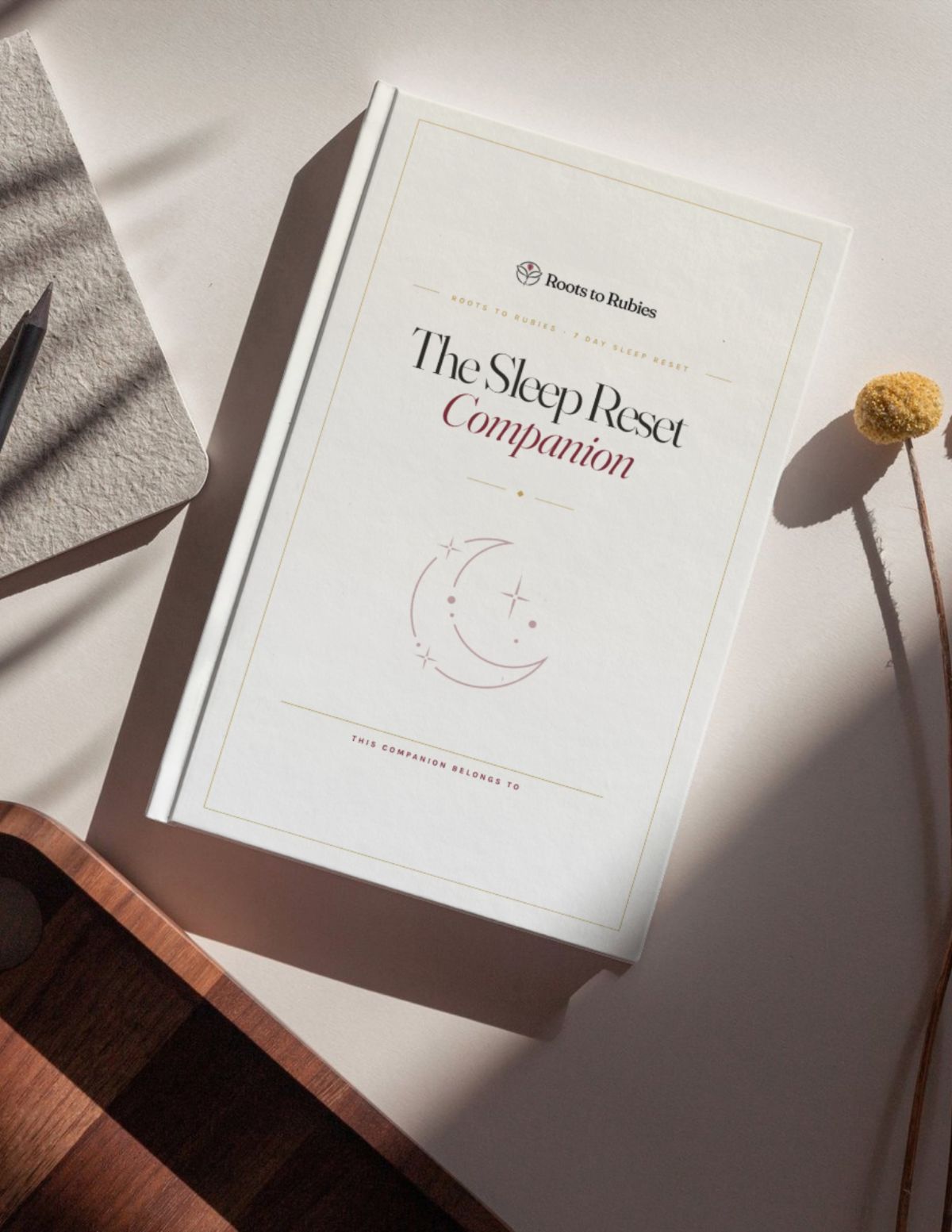 The Sleep Reset Companion journal on a sunlit desk